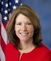 Cheri Bustos (D)